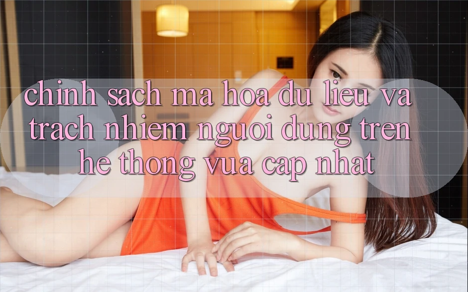 Chính sách mã hóa dữ liệu và trách nhiệm người dùng trên hệ thống vừa cập nhật