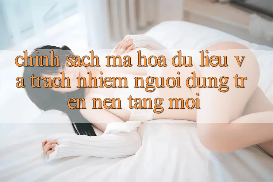 Chính sách mã hóa dữ liệu và trách nhiệm người dùng trên nền tảng mới