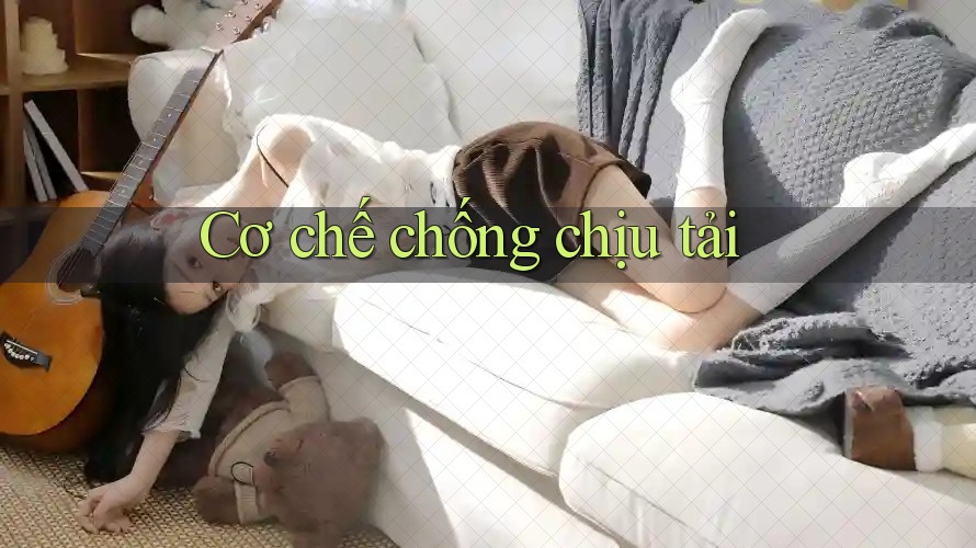 Cơ chế chống chịu tải