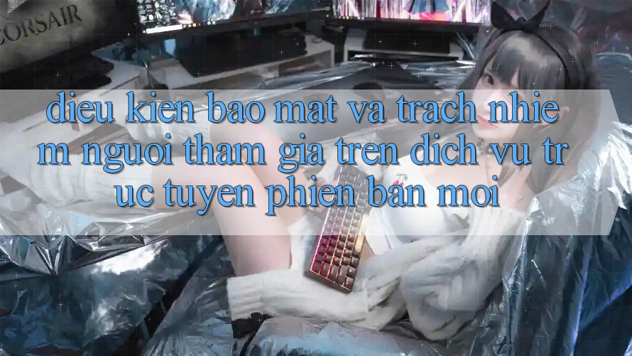 Điều kiện bảo mật và trách nhiệm người tham gia trên dịch vụ trực tuyến phiên bản mới