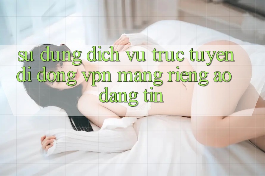 Sử dụng dịch vụ trực tuyến di động VPN (Mạng riêng ảo) đáng tin Sử dụng dịch vụ trực tuyến di động VPN (Mạng riêng ảo) đáng tin