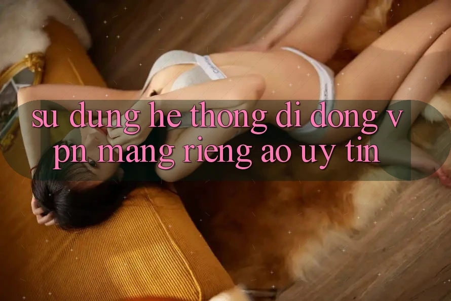Sử dụng hệ thống di động VPN (Mạng riêng ảo) uy tín