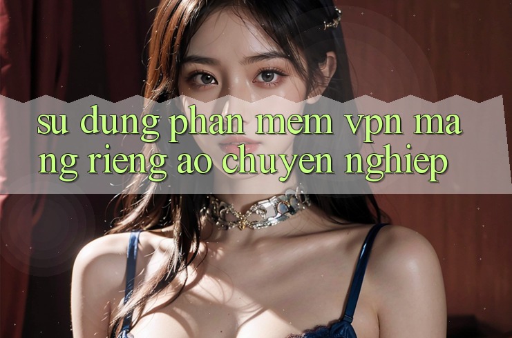 Sử dụng phần mềm VPN (Mạng riêng ảo) chuyên nghiệp